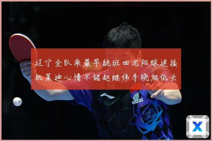辽宁全队乘最早航班回沈阳球迷接机莱迪心情不错赵继伟李晓旭低头赛场复盘：最新赛事动态与深度分析