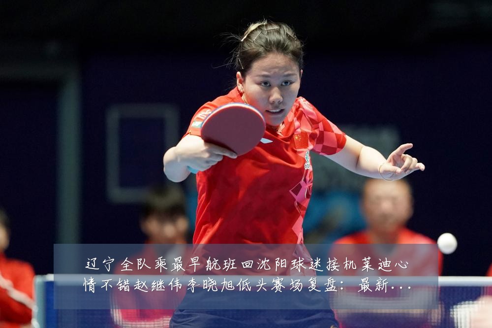 辽宁全队乘最早航班回沈阳球迷接机莱迪心情不错赵继伟李晓旭低头赛场复盘:最新赛事动态与深度分析